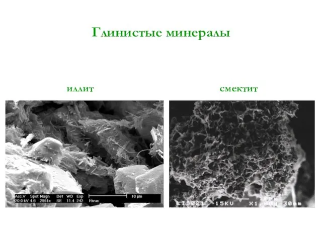 Глинистые минералы иллит смектит