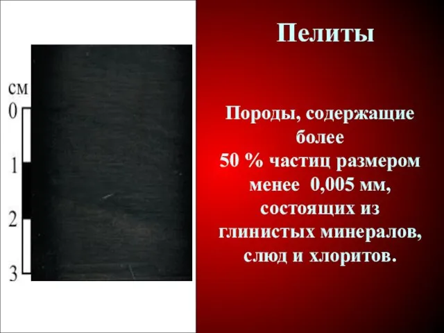 Пелиты Породы, содержащие более 50 % частиц размером менее 0,005 мм,