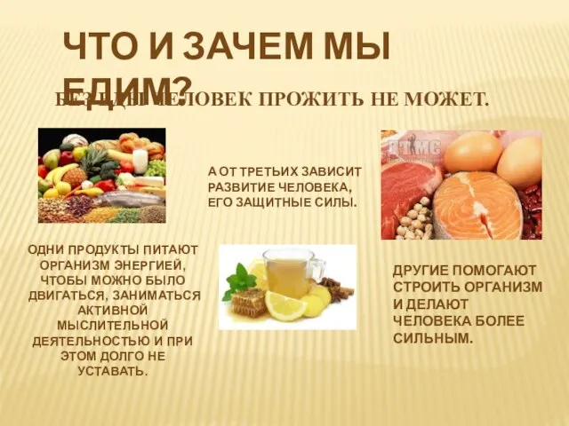 БЕЗ ЕДЫ ЧЕЛОВЕК ПРОЖИТЬ НЕ МОЖЕТ. ЧТО И ЗАЧЕМ МЫ ЕДИМ?