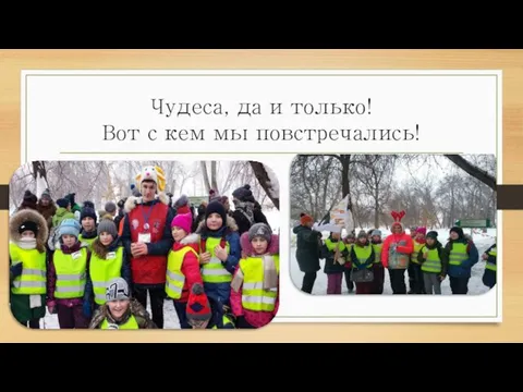 Чудеса, да и только! Вот с кем мы повстречались!