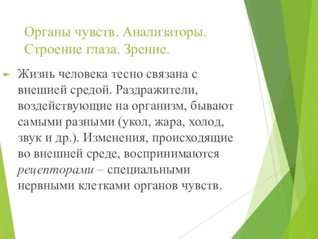 Органы чувств. Анализаторы. Строение глаза. Зрение. Жизнь человека тесно связана с