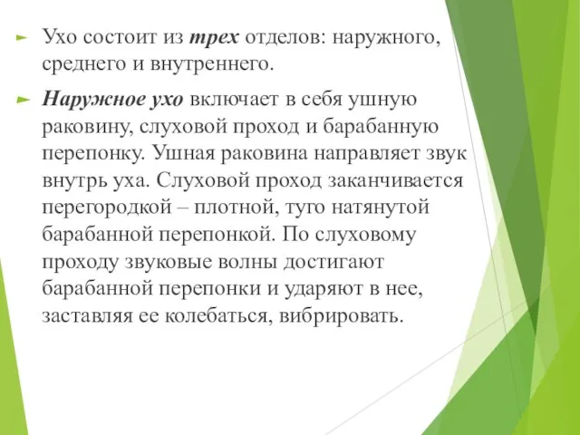 Ухо состоит из трех отделов: наружного, среднего и внутреннего. Наружное ухо