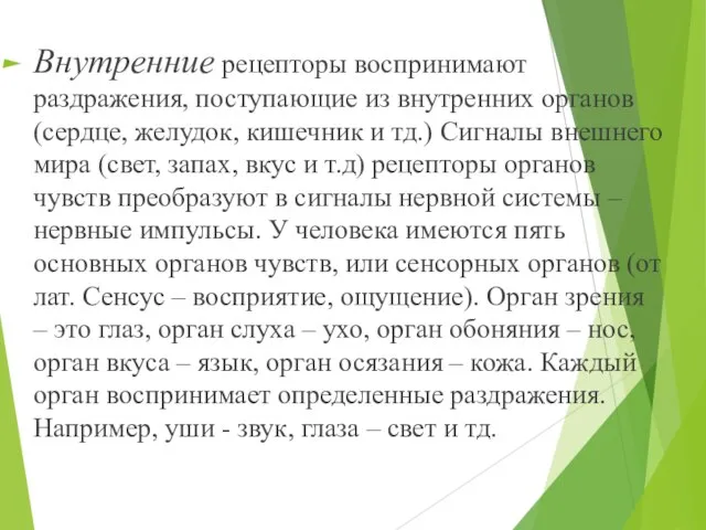 Внутренние рецепторы воспринимают раздражения, поступающие из внутренних органов (сердце, желудок, кишечник