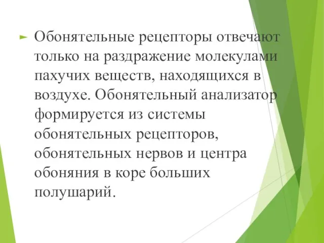 Обонятельные рецепторы отвечают только на раздражение молекулами пахучих веществ, находящихся в