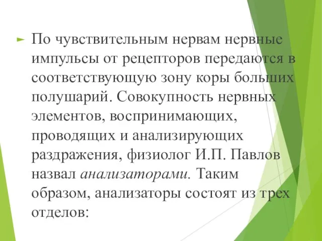 По чувствительным нервам нервные импульсы от рецепторов передаются в соответствующую зону