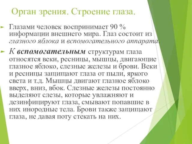 Орган зрения. Строение глаза. Глазами человек воспринимает 90 % информации внешнего