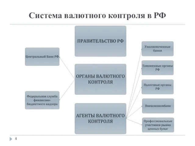 Система валютного контроля в РФ