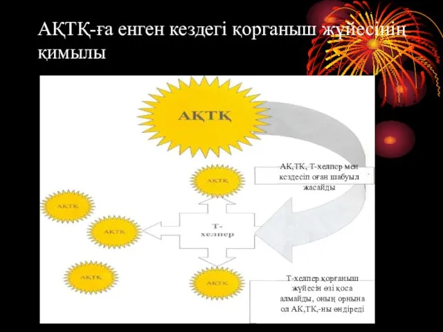 АҚТҚ-ға енген кездегі қорганыш жұйесінің қимылы