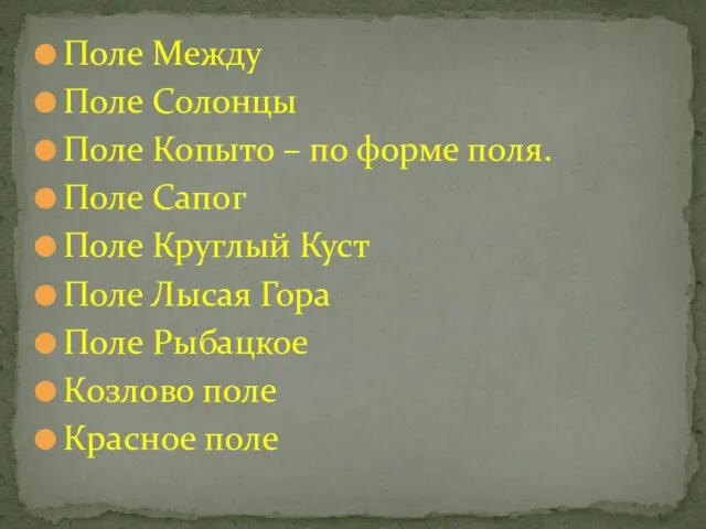 Поле Между Поле Солонцы Поле Копыто – по форме поля. Поле