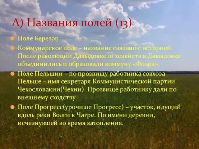 Поле Березок Коммунарское поле – название связано с историей. После революции