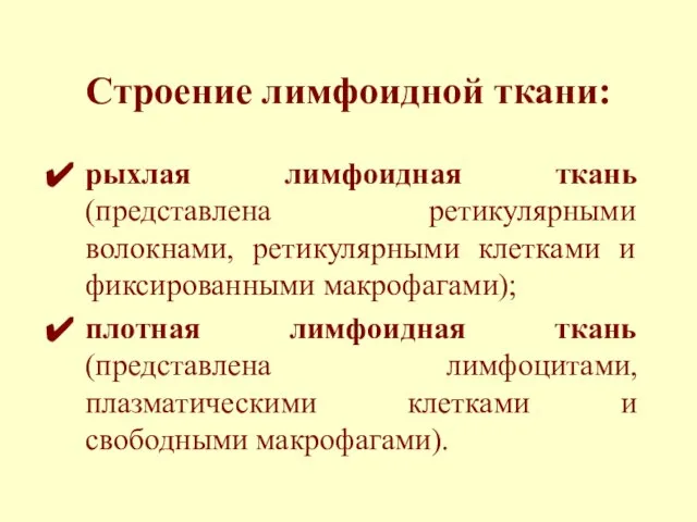 Строение лимфоидной ткани: рыхлая лимфоидная ткань (представлена ретикулярными волокнами, ретикулярными клетками