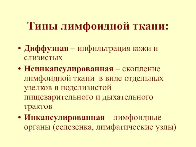 Типы лимфоидной ткани: Диффузная – инфильтрация кожи и слизистых Неинкапсулированная –