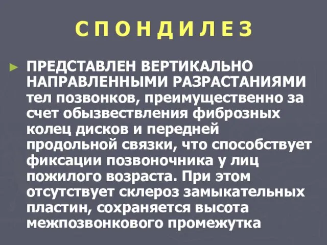 С П О Н Д И Л Е З ПРЕДСТАВЛЕН ВЕРТИКАЛЬНО