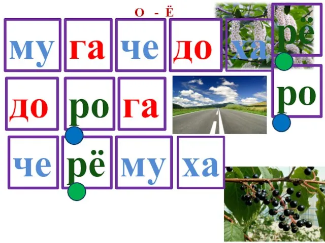 О - Ё че ха му рё ро до га до