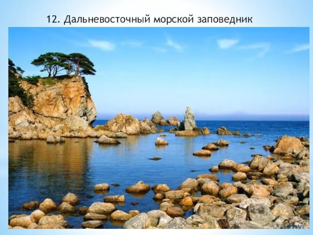 12. Дальневосточный морской заповедник