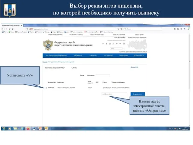 Выбор реквизитов лицензии, по которой необходимо получить выписку Установить «V» Ввести адрес электронной почты, нажать «Отправить»