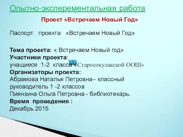 Проект «Встречаем Новый Год» Опытно-эксперементальная работа Паспорт проекта «Встречаем Новый Год»