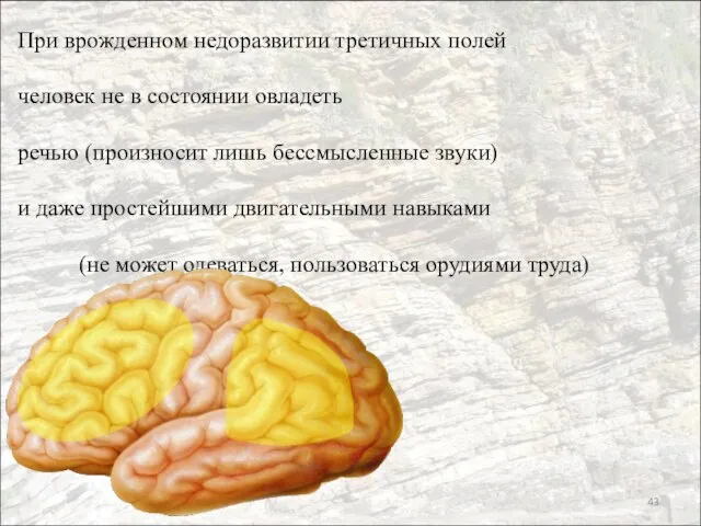 При врожденном недоразвитии третичных полей человек не в состоянии овладеть речью