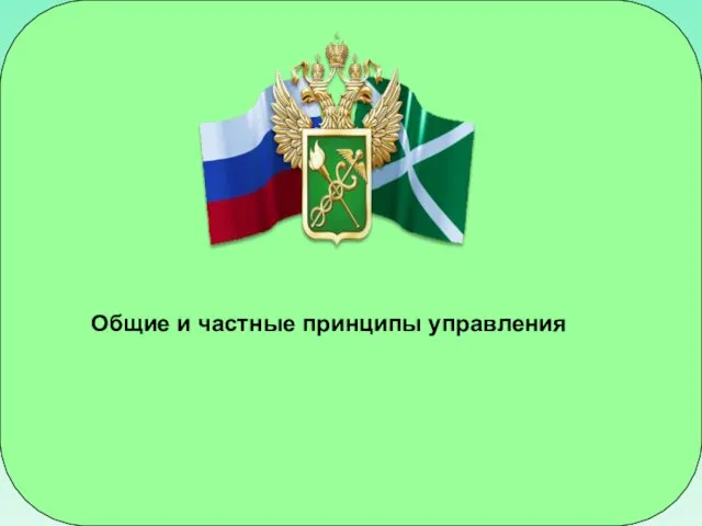 Общие и частные принципы управления