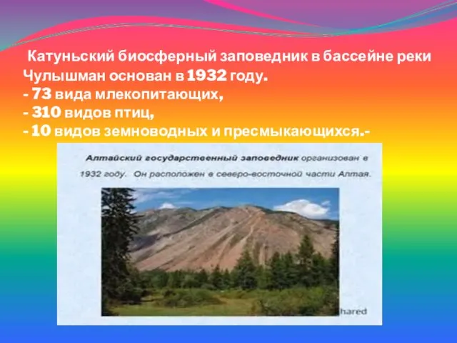 Катуньский биосферный заповедник в бассейне реки Чулышман основан в 1932 году.