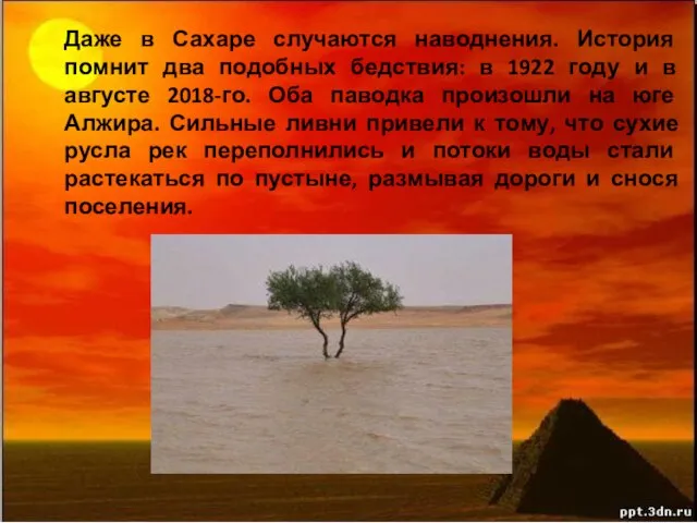 Даже в Сахаре случаются наводнения. История помнит два подобных бедствия: в