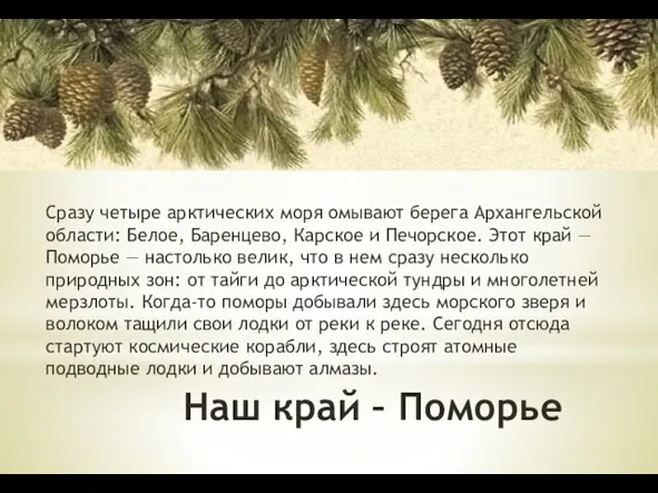 Наш край – Поморье Сразу четыре арктических моря омывают берега Архангельской