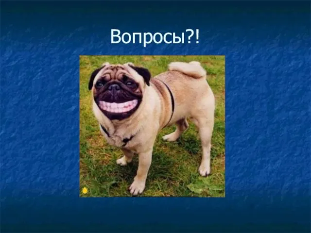 Вопросы?!