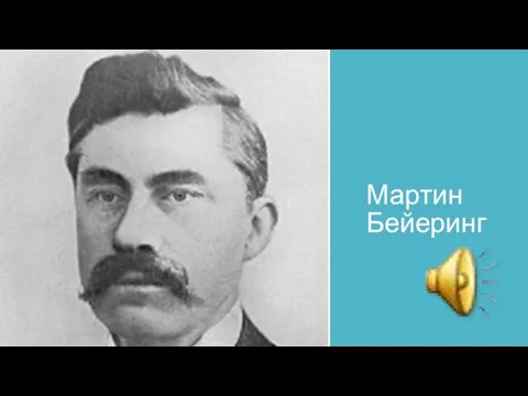 Мартин Бейеринг