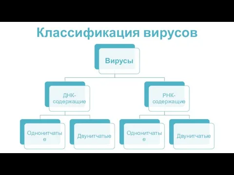 Классификация вирусов