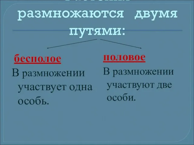 Растения размножаются двумя путями: бесполое В размножении участвует одна особь. половое В размножении участвуют две особи.