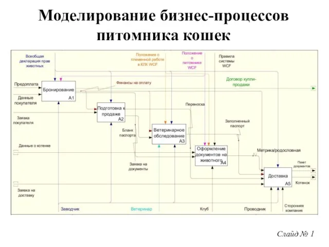 Слайд № 1 Моделирование бизнес-процессов питомника кошек