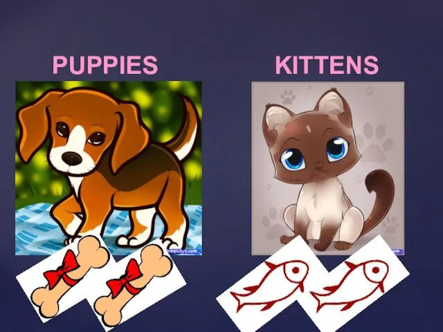 PUPPIES KITTENS