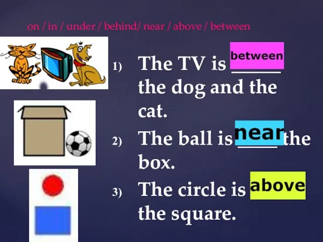 The TV is _____ the dog and the cat. The ball