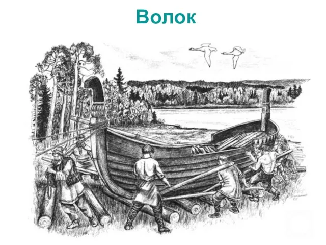 Волок