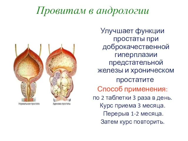 Провитам в андрологии Улучшает функции простаты при доброкачественной гиперплазии предстательной железы