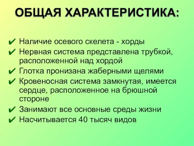 ОБЩАЯ ХАРАКТЕРИСТИКА: Наличие осевого скелета - хорды Нервная система представлена трубкой,