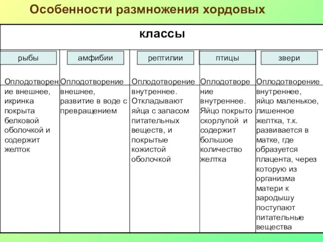 Особенности размножения хордовых Оплодотворение внешнее, икринка покрыта белковой оболочкой и содержит