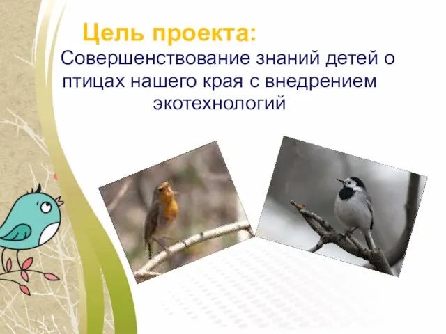 Цель проекта: Совершенствование знаний детей о птицах нашего края с внедрением экотехнологий