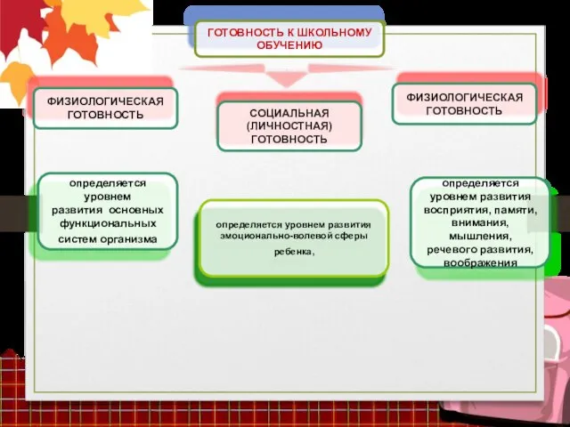 ГОТОВНОСТЬ К ШКОЛЬНОМУ ОБУЧЕНИЮ ФИЗИОЛОГИЧЕСКАЯ ГОТОВНОСТЬ ФИЗИОЛОГИЧЕСКАЯ ГОТОВНОСТЬ СОЦИАЛЬНАЯ (ЛИЧНОСТНАЯ) ГОТОВНОСТЬ