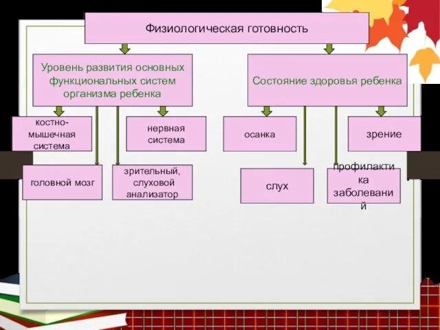 Физиологическая готовность Уровень развития основных функциональных систем организма ребенка Состояние здоровья