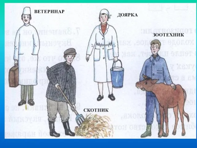 ВЕТЕРИНАР ЗООТЕХНИК ДОЯРКА СКОТНИК