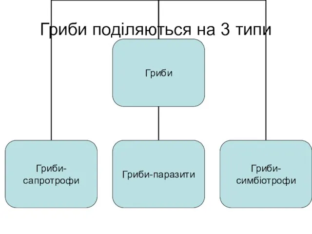 Гриби поділяються на 3 типи