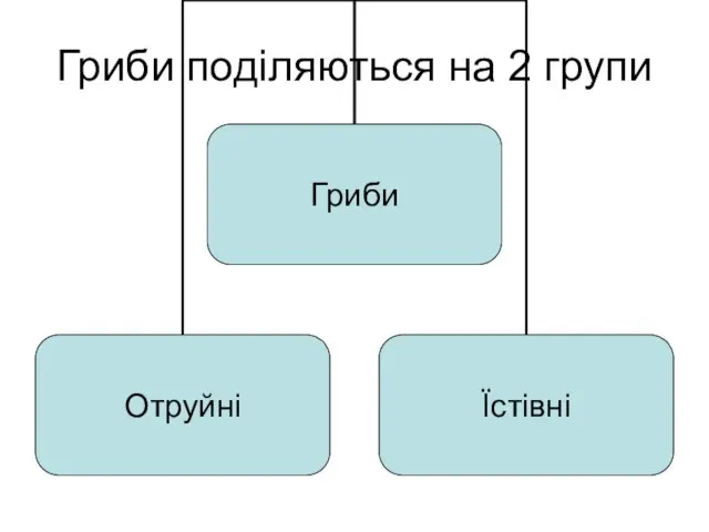 Гриби поділяються на 2 групи