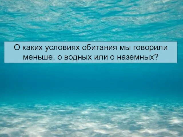 О каких условиях обитания мы говорили меньше: о водных или о наземных?