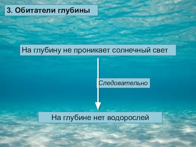 3. Обитатели глубины На глубину не проникает солнечный свет На глубине нет водорослей Следовательно