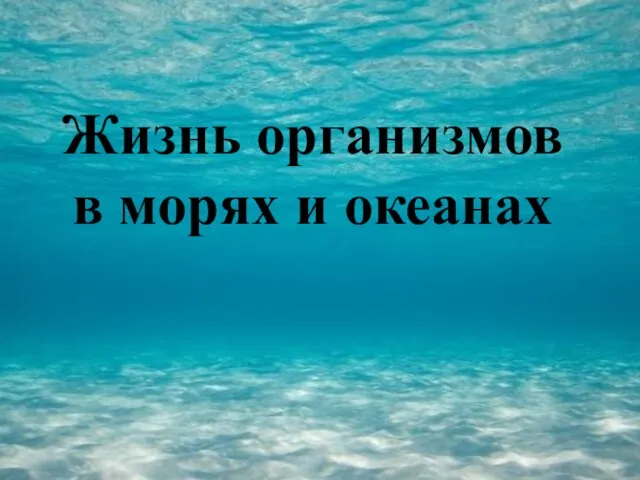 Жизнь организмов в морях и океанах