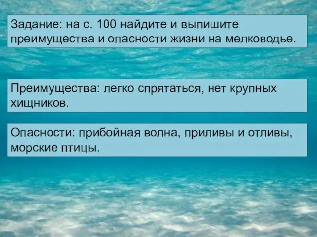 Преимущества: легко спрятаться, нет крупных хищников. Опасности: прибойная волна, приливы и