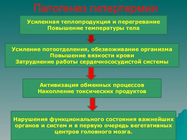 Патогенез гипертермии Усиленная теплопродукция и перегревание Повышение температуры тела Усиление потоотделения,