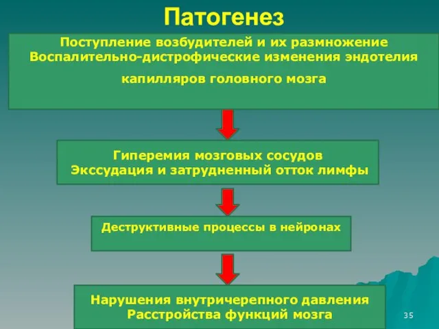 Патогенез Поступление возбудителей и их размножение Воспалительно-дистрофические изменения эндотелия капилляров головного