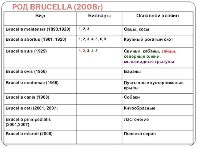 РОД BRUCELLA (2008г)